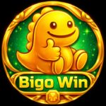 Bigowin App